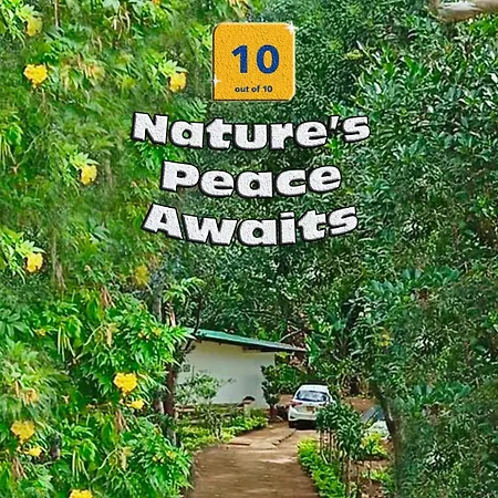 Nature Lodge - A Modern, Exclusive Holiday Home Just For You! Ella Exterior photo