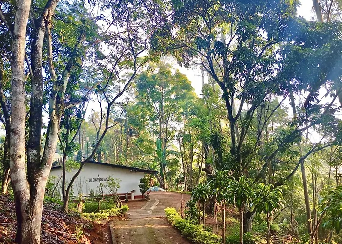 Nature Lodge - A Modern, Exclusive Holiday Home Just For You!