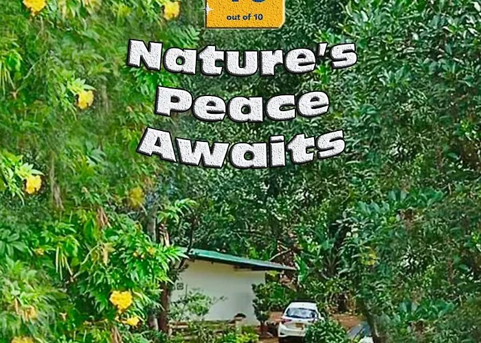 Nature Lodge - A Modern, Exclusive Holiday Home Just For You!
