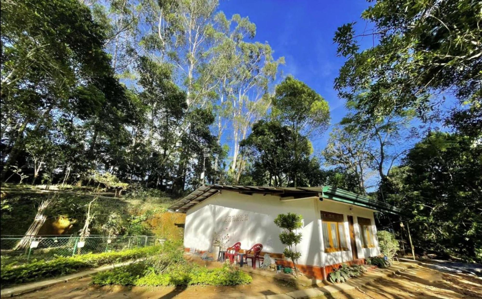 Nature - A Modern, Exclusive Just For You! Ferienhaus *