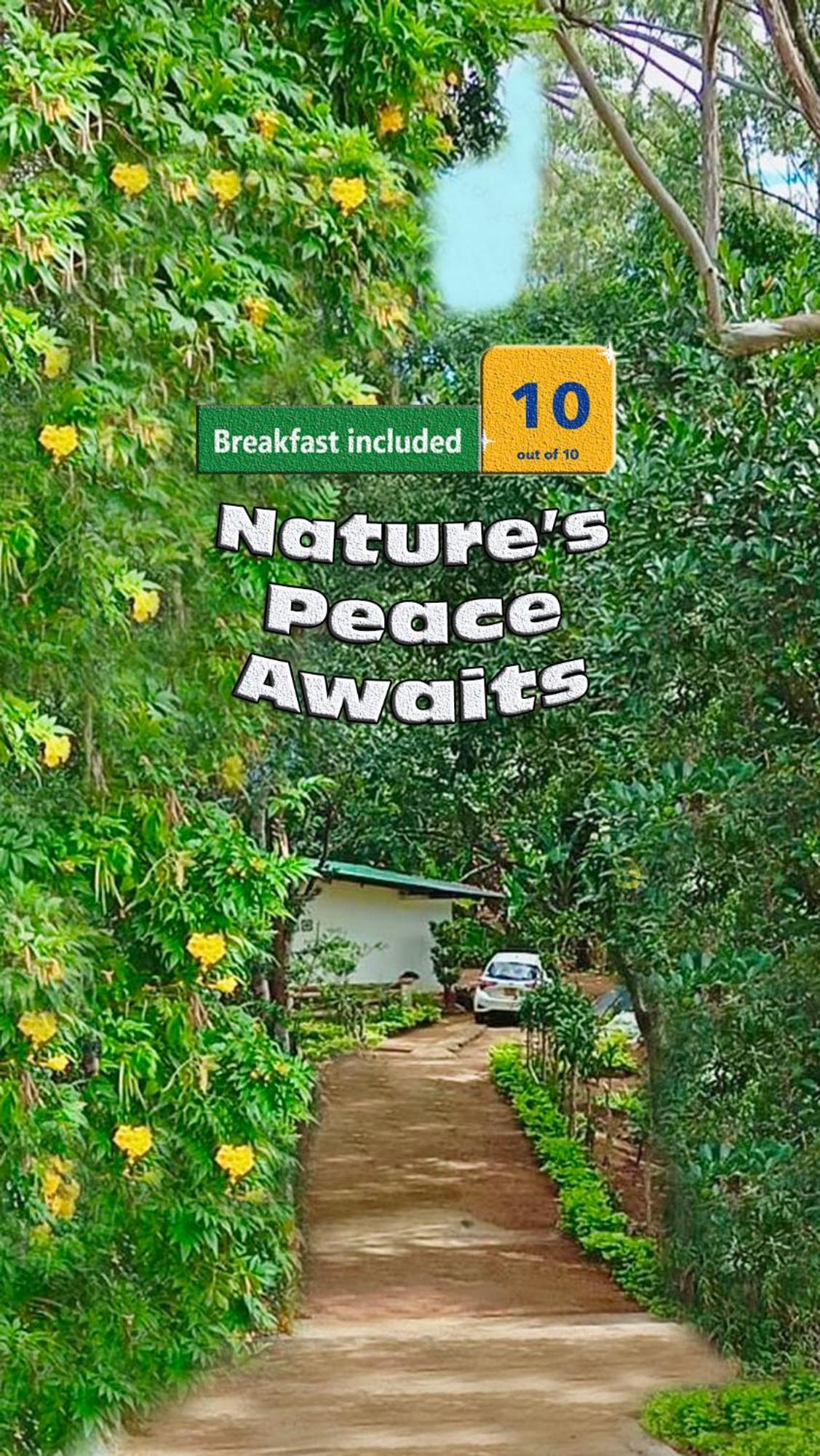 Nature - A Modern, Exclusive Just For You! Ferienhaus